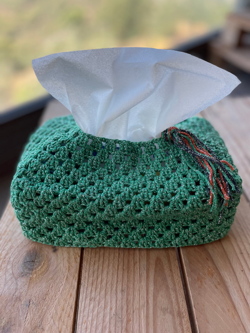 Green Metallic Silver Crochet Tissue Box Cover Tassel